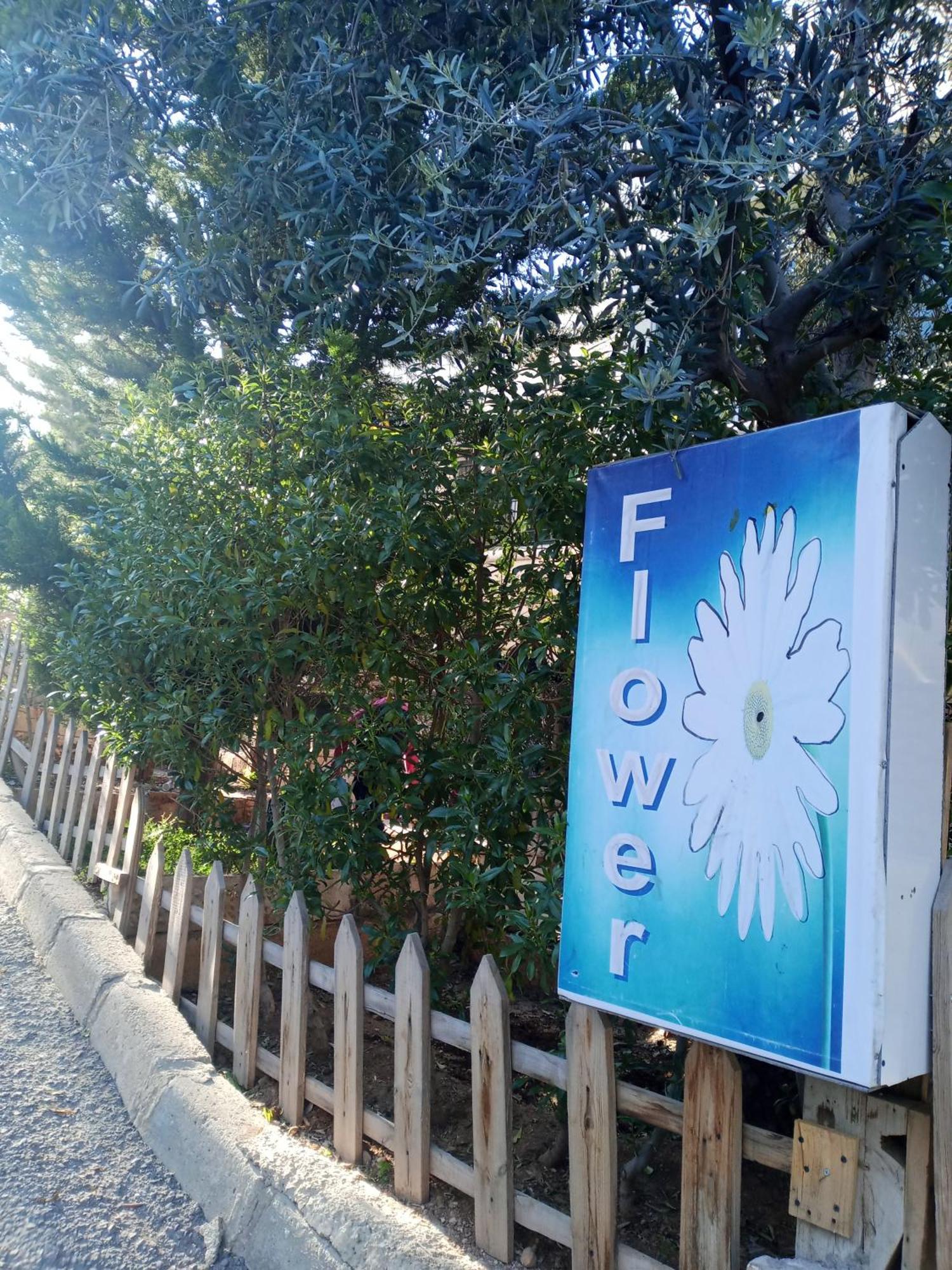 Flower 2 Джараш Экстерьер фото
